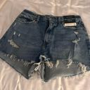 Abercrombie & Fitch Ambrecombie & Fitch High Rise Shorts  Photo 0