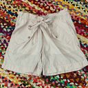 Jason Wu  Pink Tricolor High Waist Drawstring Shorts - 4 Photo 0