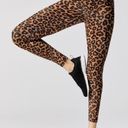 Beach Riot Leopard Leggings Photo 0