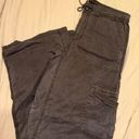 American Eagle Outfitters Cargo Pants Photo 0