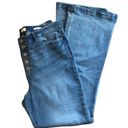 Sofia Vergara Melisa Flare Button Fly Jean Sz 18X33 High Waisted Stretch Casual Photo 5