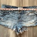 PINK - Victoria's Secret Pink 2 Jean Cut Off Shorts Photo 1