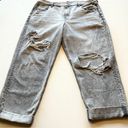 American Eagle 90’s Ripped Curvy Straight Jeans Photo 1