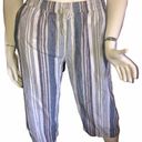 BeachLunchLounge Cropped Linen Blend Pants Photo 0