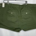 Torrid  Olive Green Shorts‎ Photo 2