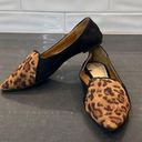 Gap  Leopard Print Pointed Flats Photo 0