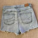 American Eagle Outfitters Shorts Photo 1