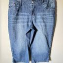 Lane Bryant  cropped jeans size 14 Photo 0