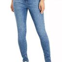 Style & Co  Curvy-Fit Skinny Printed Jeans, Photo 0