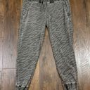 Bella Dahl  Revolve Pocket Jogger in Black Beauty Photo 1