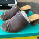 Jack Rogers campbell suede mule Photo 0