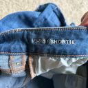 American Eagle Outfitters High Rise Shorties Photo 4