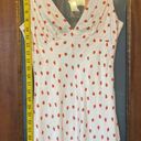 ZARA Strawberry Sleeveless Mini Dress Fit & Flare Lined Shift Cami small Photo 3