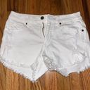 Just Black Denim JBD White Jean Shorts Photo 0