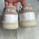 VEJA White and Babe Pink V-12 Sneakers Photo 6