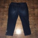 Lane Bryant  dark wash genius fit ankle zip 22 jeans Photo 1