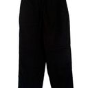 Everlane NEW  The Easy Pant in Black Photo 3