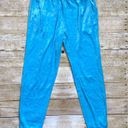 Generation Love NWT  Ivy Joggers Scuba Blue Photo 2