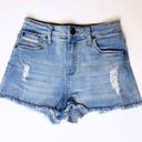 sts blue Jean Shorts size 24 Photo 0