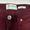 Celebrity Pink Burgundy Suede Flare Bellbottom Jeans Photo 1