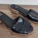 FREEBIRD by Steven Freebird Size 8 Black Leather Sandals Photo 0