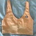 Urban Outfitters Champion Crop Top Photo 0