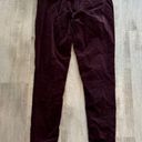 Calvin Klein Jeans legging velvet Maroon Photo 4