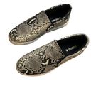 Soda Snake Print Sneakers Sz6 Photo 2