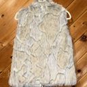 Jack by BB Dakota  in a furry faux fur gray vest Photo 6