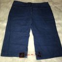 BCBG MaxAzria Jean color Linen/Rayon Shorts size 8 Photo 0