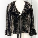 Tahari  Small Dark Brown Velvet Ruffle Bell Sleeve Silk Sweater Jacket Shrug Photo 0