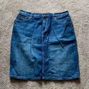 Ralph Lauren Lauren  Jean Skirt SIZE 10P Photo 0