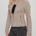 la coalition Faux Suede Fitted Jacket  Photo 0