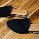 Target Black  Mules Photo 1