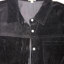 POL  Black Velvet Corduroy Button Up Long‎ Leeve Shirt M Photo 1