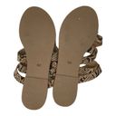 Coconuts by Matisse  Snakeskin Print Leather Strappy Sandals Size 8 Photo 3