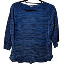 Vince  Silk Blue/Blk Zebra Striped 3/4 Long Raglan Sleeve Blouse Sz Small Photo 0