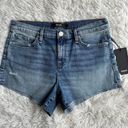 Hudson Gemma Shorts Pea Size 28 Photo 2