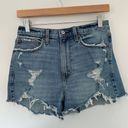 Abercrombie & Fitch High Rise Mom Short Photo 5