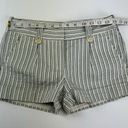 BCBG Maxazria Blue Striped Low Rise Shorts Size 0 Pleated Front Cuffed Photo 4