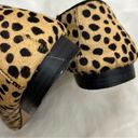 Gap  Cheetah Print Calf Hair Slip On Loafer Dress Shoe 7 Photo 3