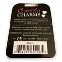 Cherish  Charms ALLISON Name Bracelet Charm NEW NWT Silvertone Silver Tone Photo 1