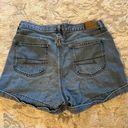 American Eagle Outfitters Mom Shorts Photo 1