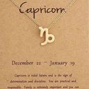 🆕Capricorn Zodiac Astrology Pendant Necklace Gold Photo 0