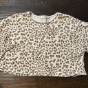 Blue Blush Cheetah Top Photo 0