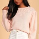 Petal Lulu’s  Warmed Up Blush Flower Stitch Sweater Photo 0