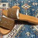 Treasure & Bond  Sandals Size 6 Photo 3