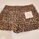 YMI Jeans Tan Leopard High Rise Shorts Photo 1