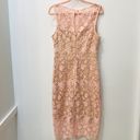 Bisou Bisou  Blush Pink Lace dress sz 8 Photo 4