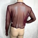 Self Esteem Maroon Lace Mesh Long Sleeve Crop Top Photo 2